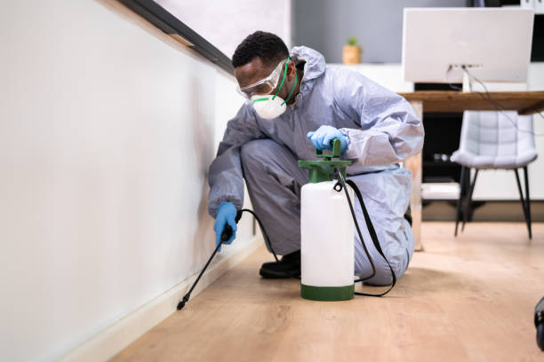 Best Commercial Pest Control  in St James, NY